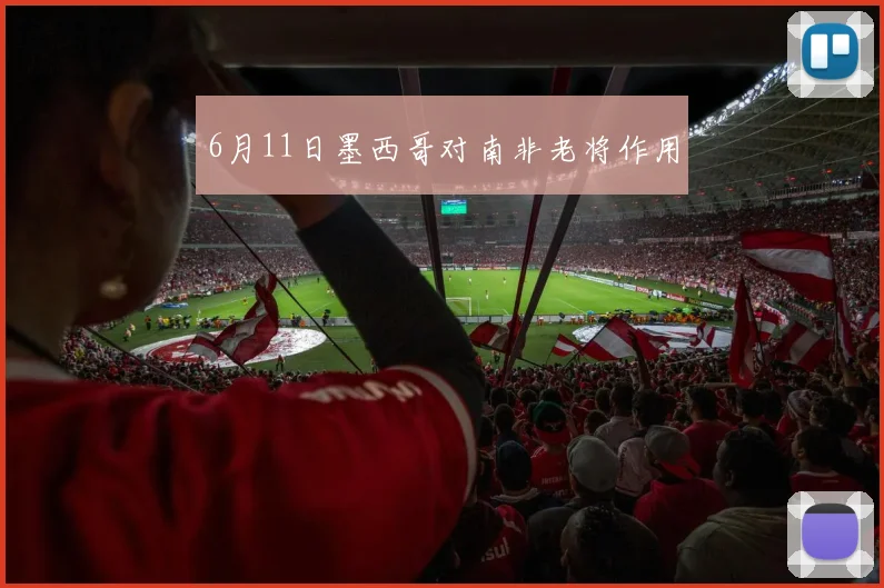 6月11日墨西哥对南非老将作用