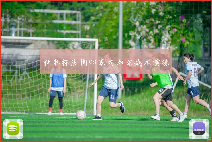世界杯法国vs塞内加尔战术演练